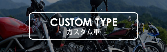 CUSTOM TYPE